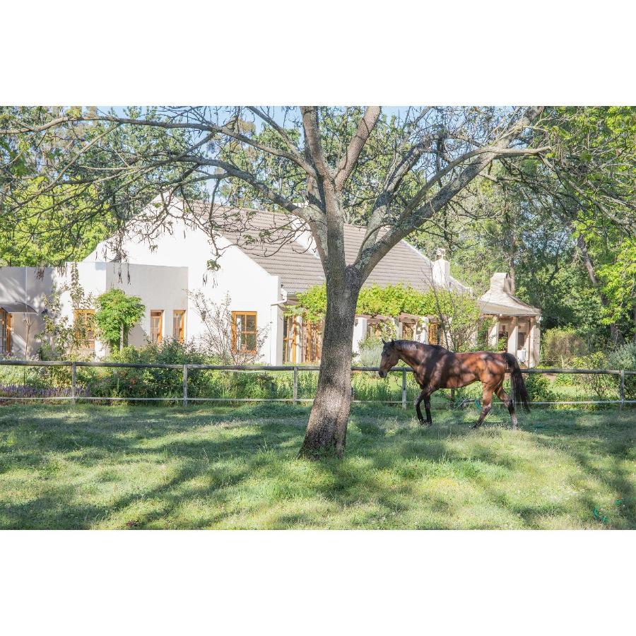 Hotel Languedoc Stellenbosch Exterior foto