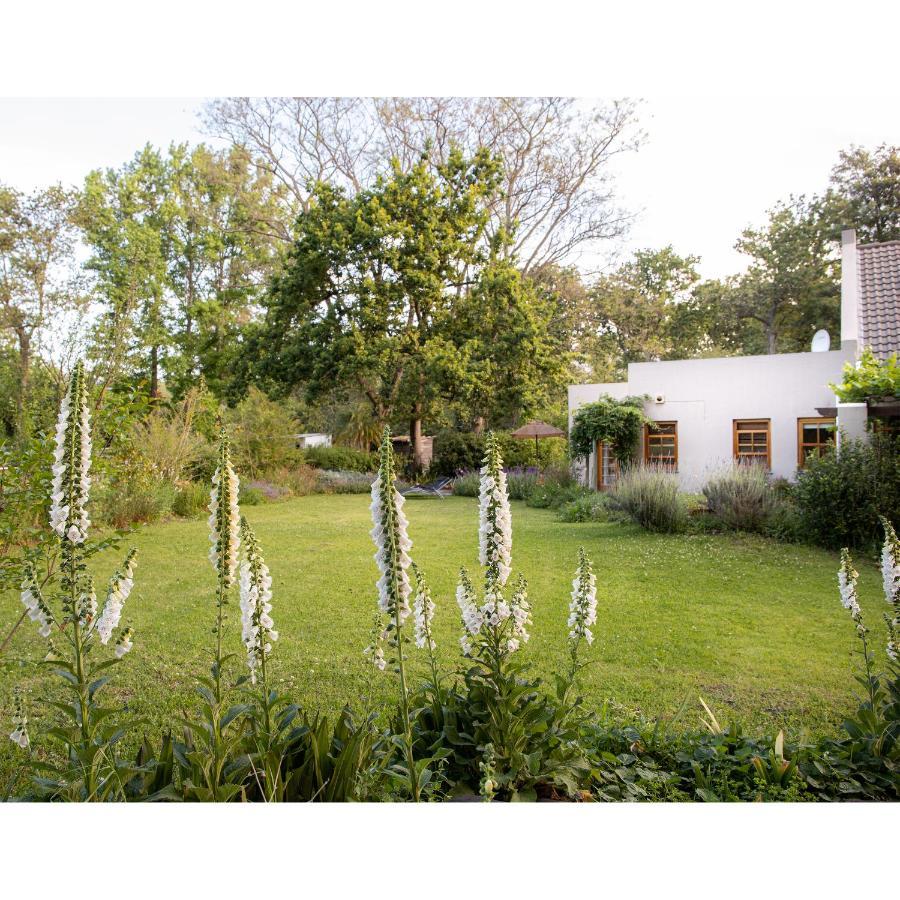 Hotel Languedoc Stellenbosch Exterior foto