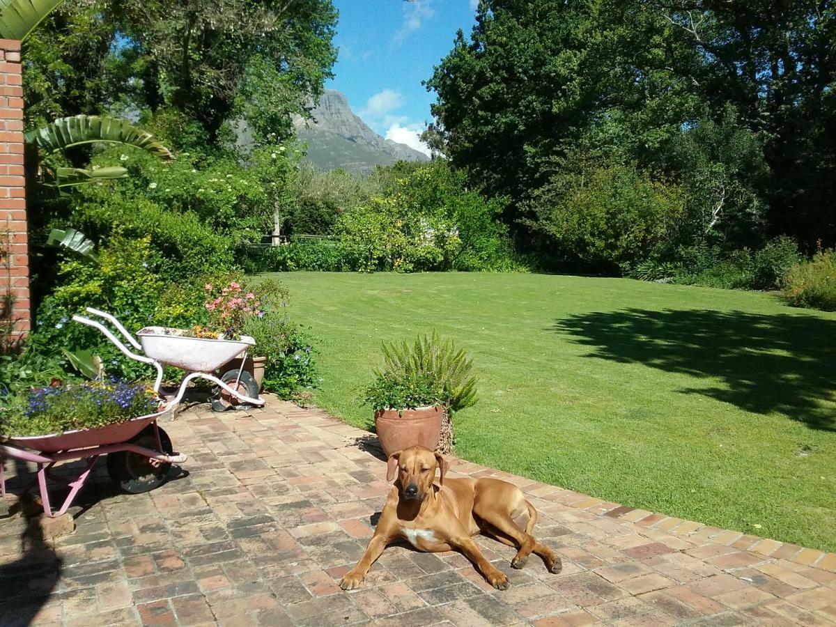 Hotel Languedoc Stellenbosch Exterior foto